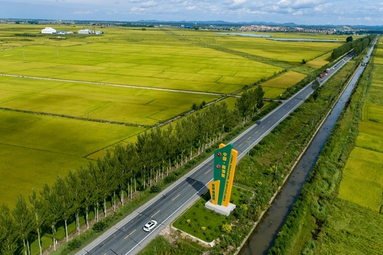 China Tells Farmers Not to Misuse Farmland in Nod to Food Supply Concerns - Caixin Global