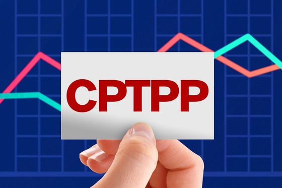 Opinion: China Might Be Able to Reform Its Way Out of SOE Restrictions in CPTPP Trade Pact - Caixin Global