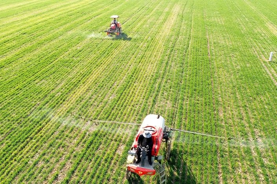 China’s Agriculture Chief Again Hints at Backing for Genetically Modified Foods - Caixin Global