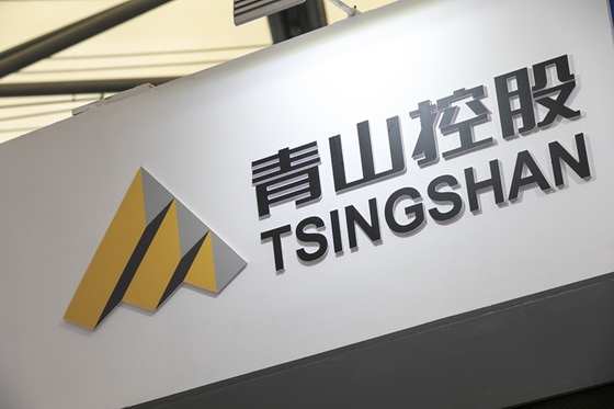 Stainless Steel Giant’s Lithium Deal Shows How Everyone Is Getting Into New Energy - Caixin Global