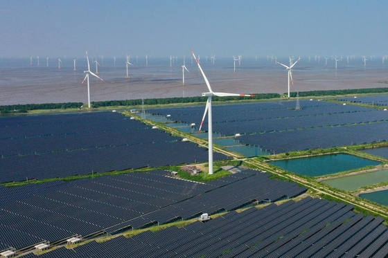 China’s Tongwei Seeks to Cement Solar Dominance With Acquisition - Caixin Global
