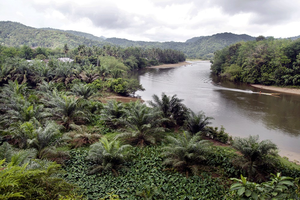 Secrecy still shrouds land use maps - Opinion - The Jakarta Post