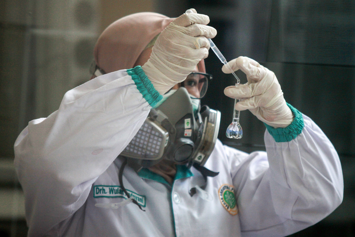 Indonesia pressured to do more to detect coronavirus amid zero reported cases - National - The Jakarta Post