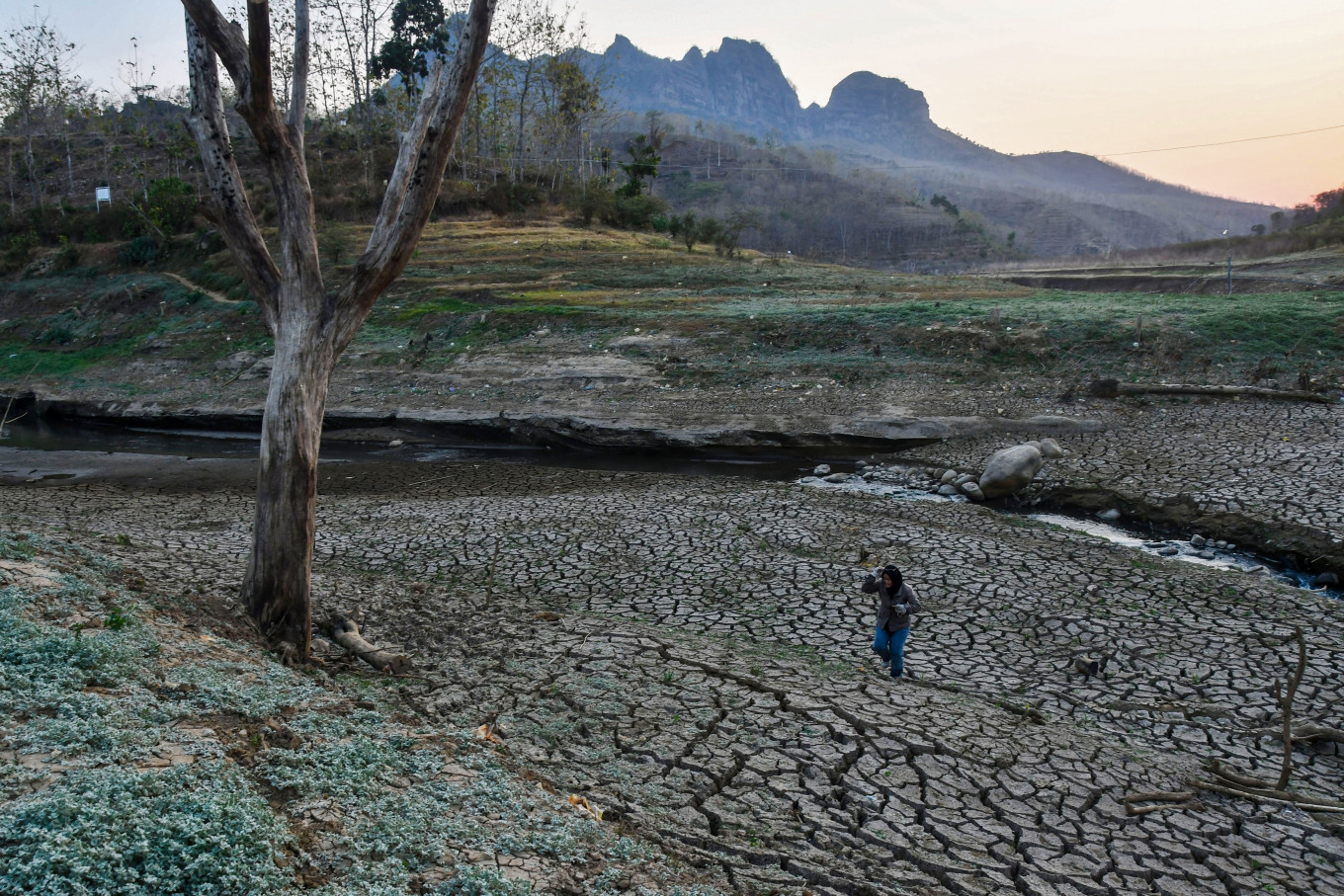 Why a just land transition needs real funding - Academia - The Jakarta Post