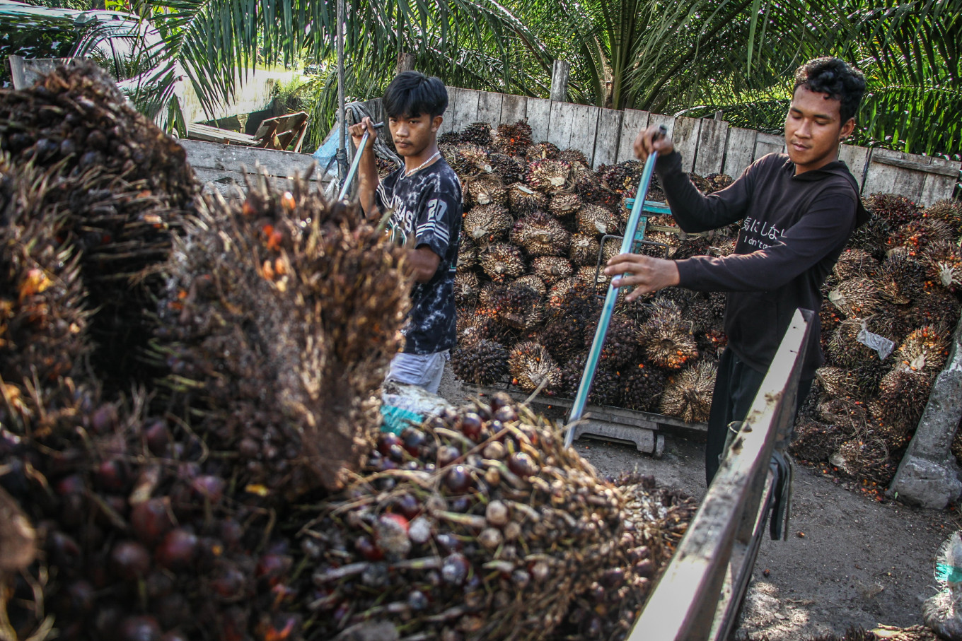 Indonesia should negotiate tariffs for stability, not speed - Academia - The Jakarta Post
