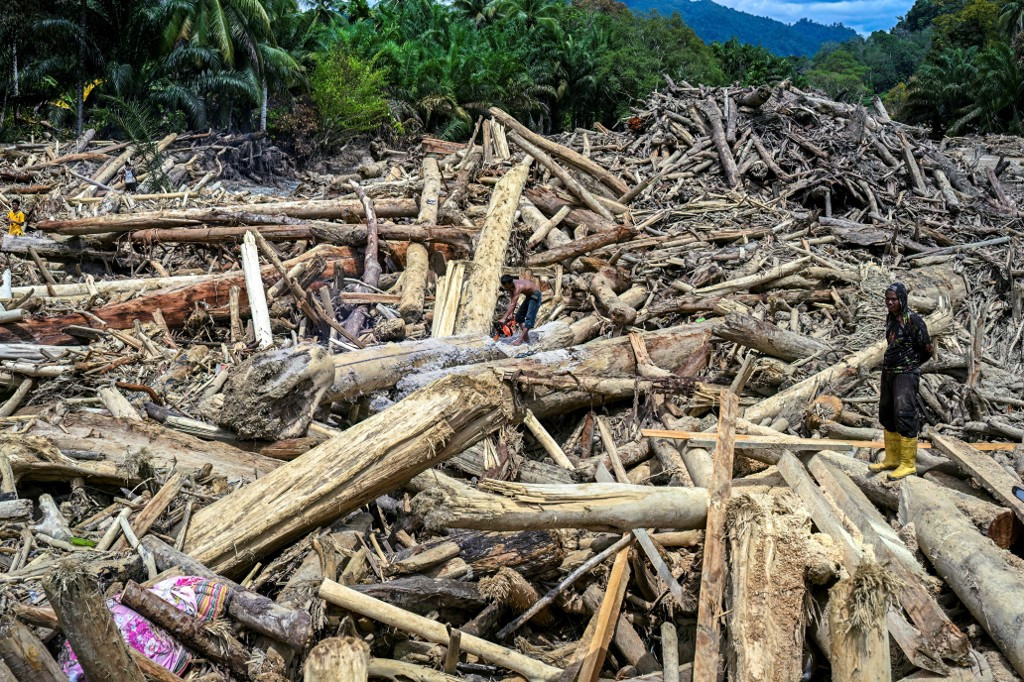 As ecological disasters intensify, judiciary can lead the way - Academia - The Jakarta Post