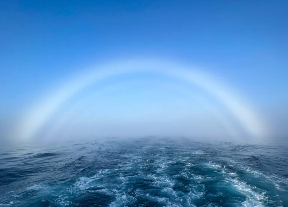 The high seas are supposed to belong to everyone – a new U.N. treaty aims to make it law - NewsBreak