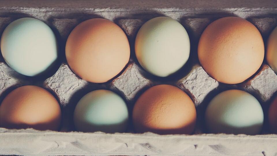 The price of eggs is higher than ever - NewsBreak