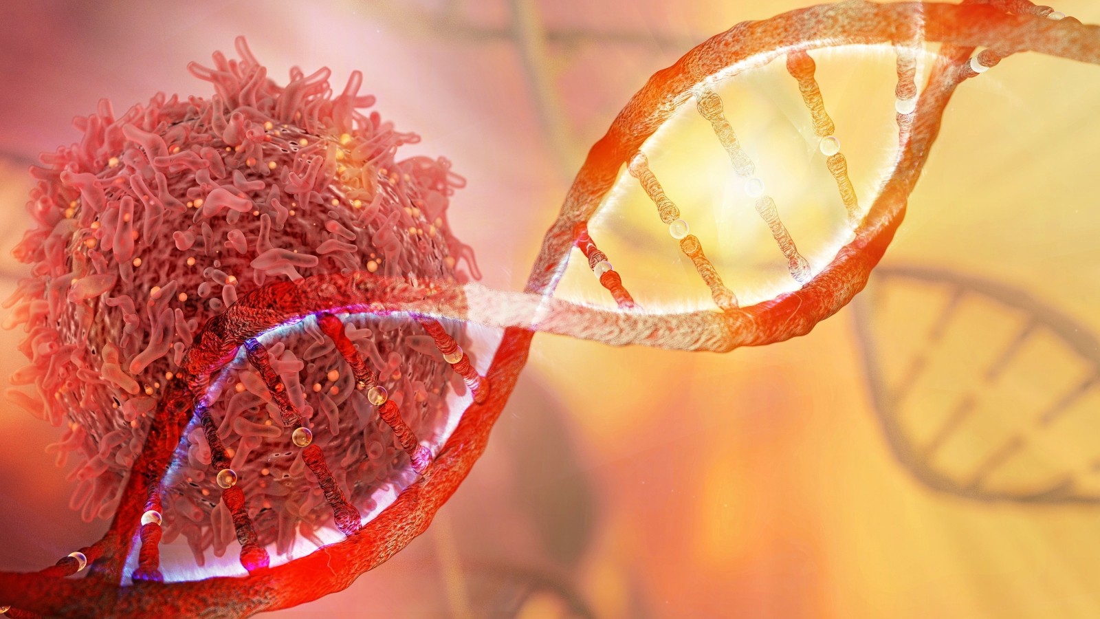 Krebs-Therapie: Gezielte Tumor-Behandlung gibt Hoffnung