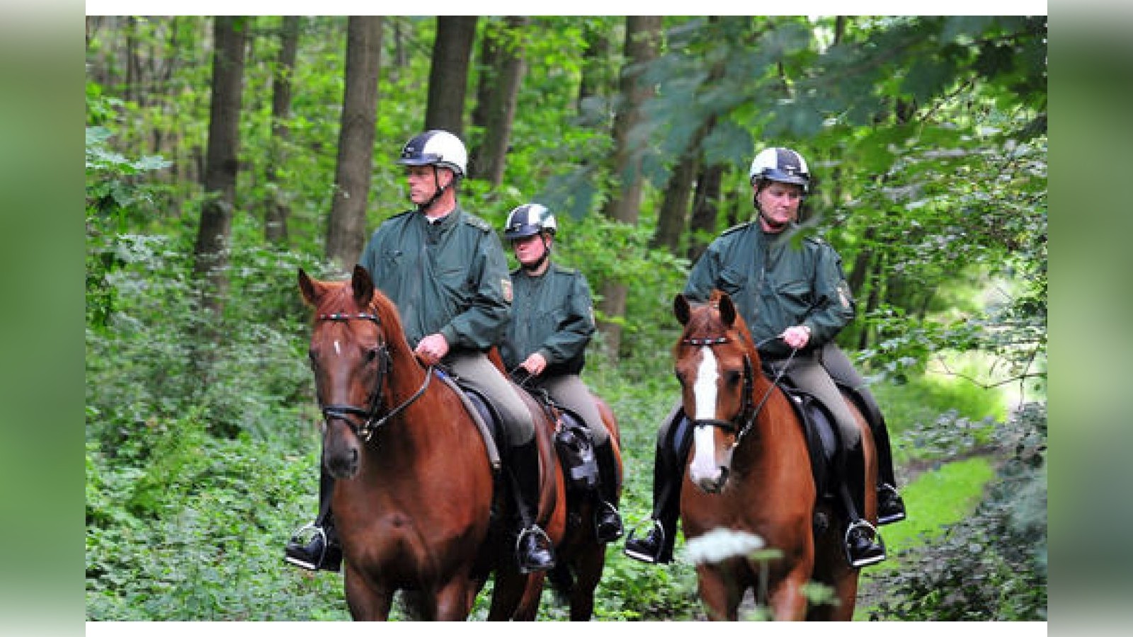 Polizei sucht in der Haard nach der vermissten Annette Lindemann