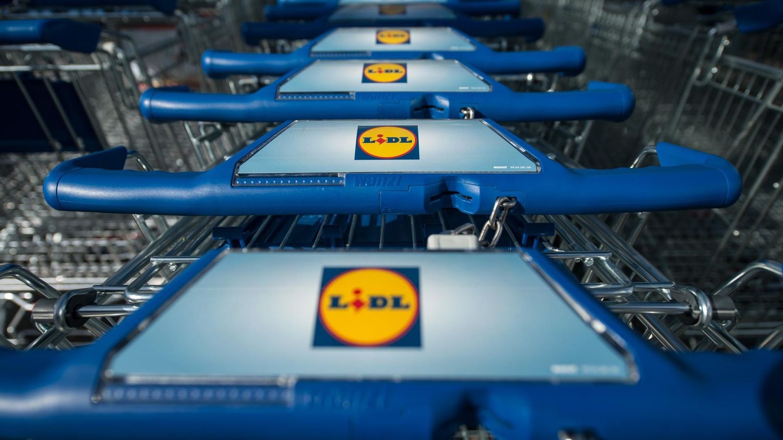 Lidl: Geschichte, Eigenmarken, Kritik – Fakten zum beliebten Discounter