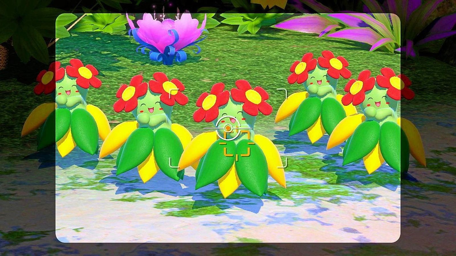 “New Pokémon Snap“: Was die Foto-Safari so spaßig macht