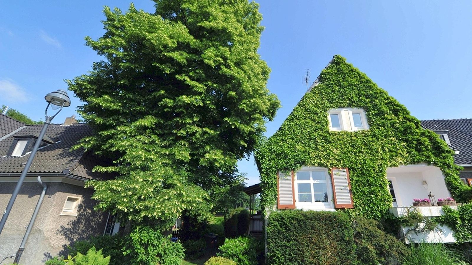 Idylle trotz Abrisswahn – die Altenhof I-Siedlung in Rüttenscheid