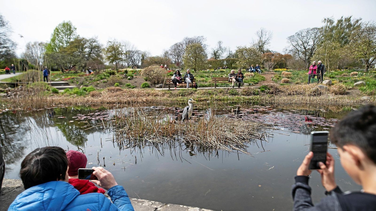 Grugapark in Essen soll „Plattform für Klimafragen“ werden