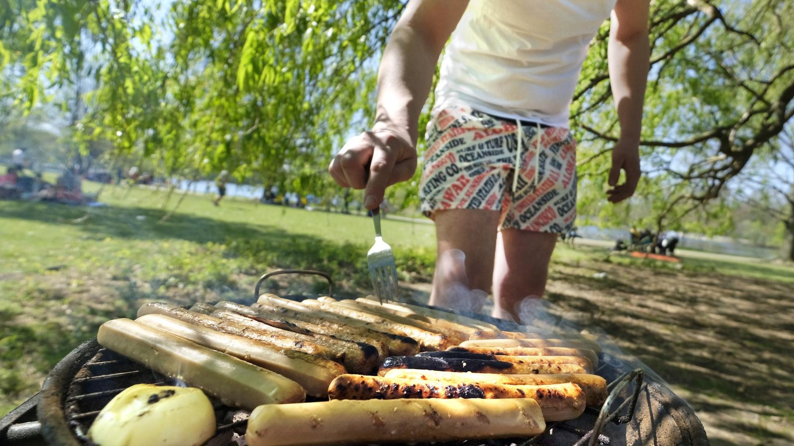 „Nicht mehr zu tolerieren“: Grillen am Ümminger See in Bochum ist verboten