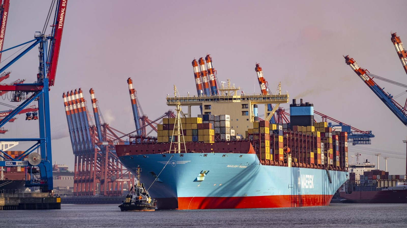 Hamburger Hafen betroffen: Hapag-Lloyd-Partner Maersk will 1000 Stellen streichen