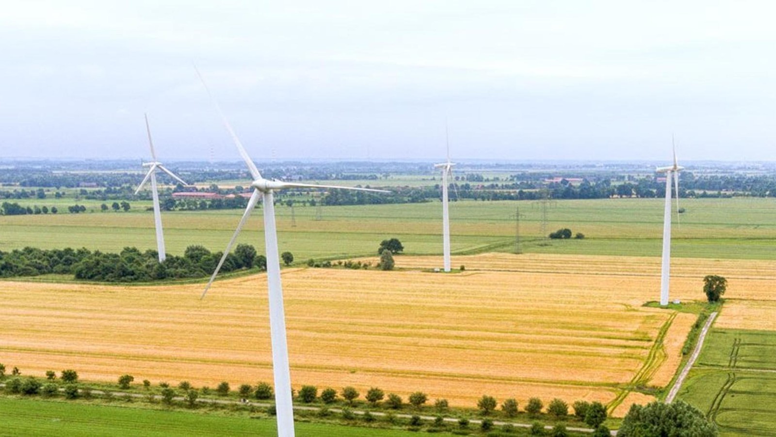 „Großartiger Sieg!“: Bürgerinitiative feiert Scheitern des Windparks Tangstedt
