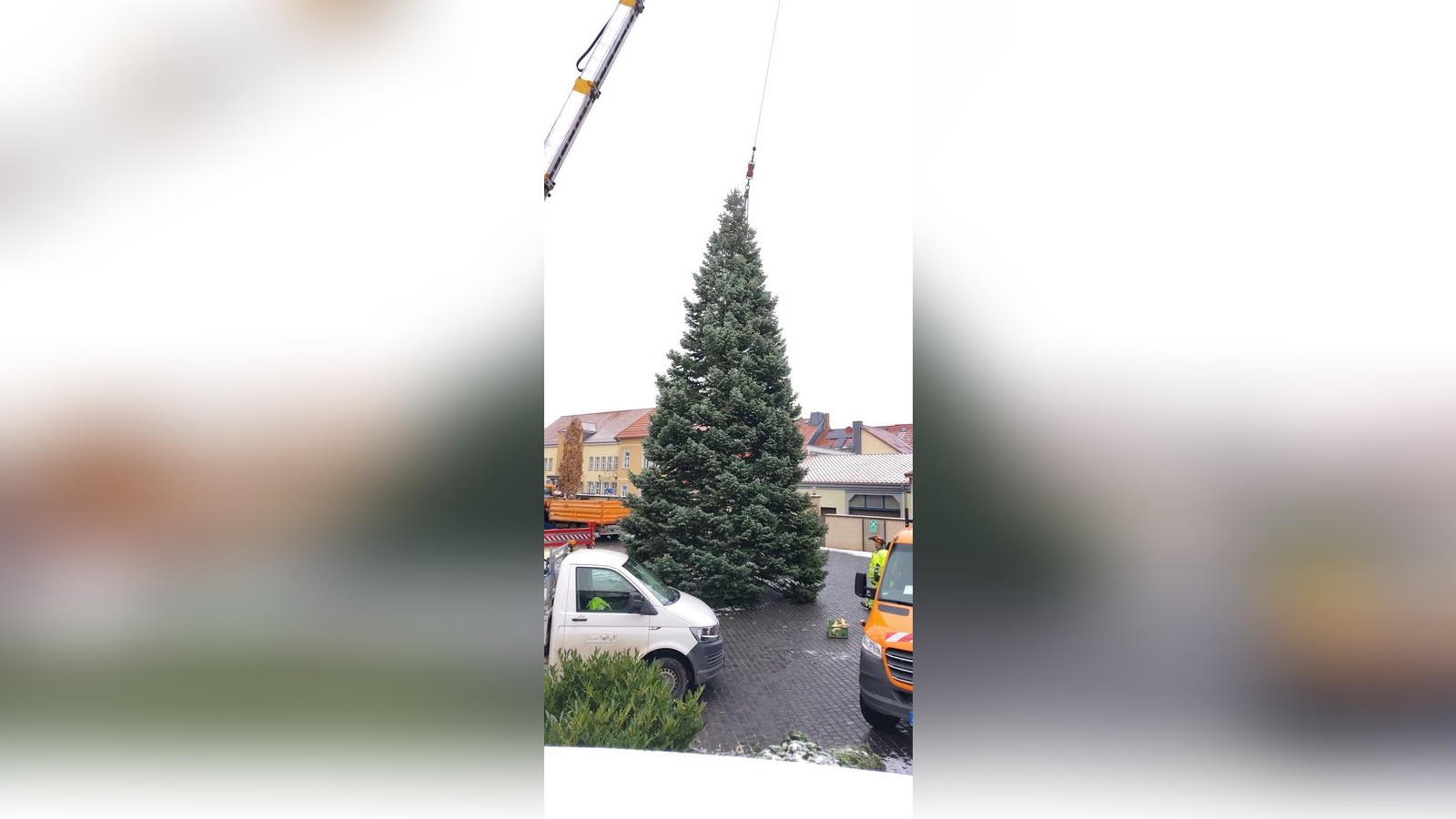 Weihnachtsbaum-Rekord auf einem Eichsfelder Rathaushof