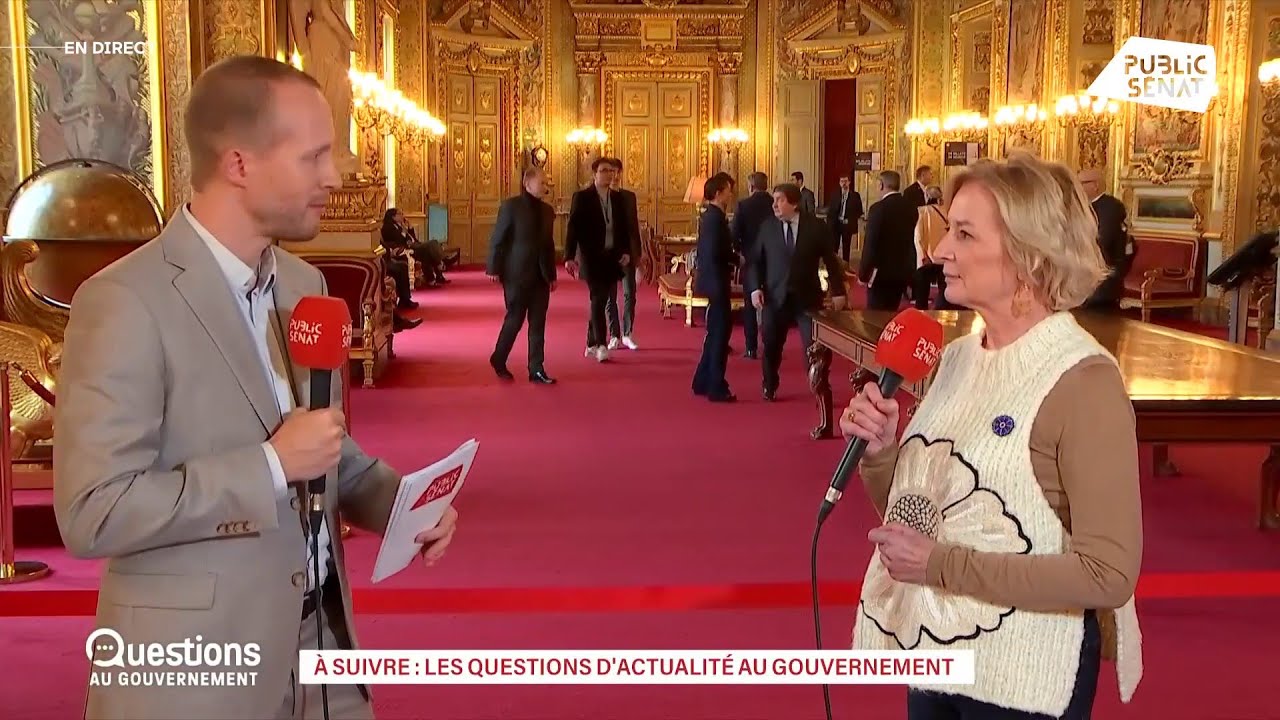 Réforme des retraites : « Je pense que le Sénat la rétablira »