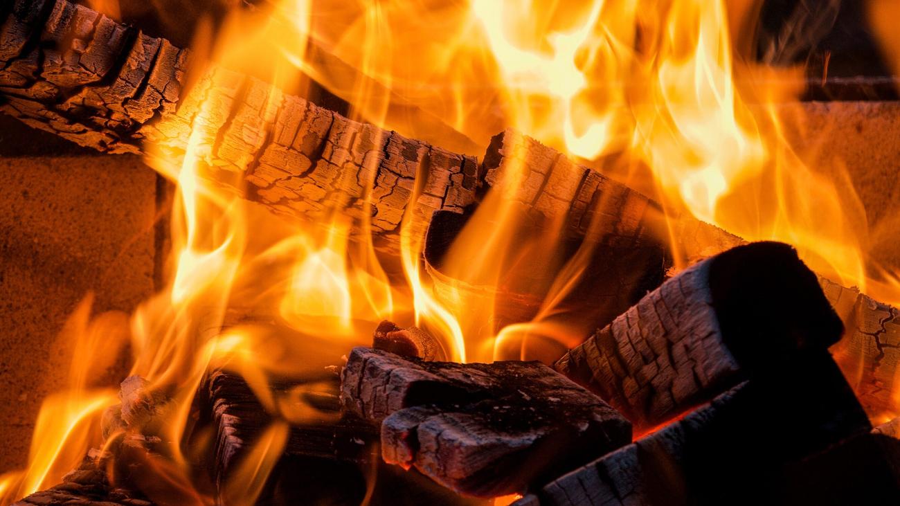 Holzöfen: Wie sehr schadet ein Ofen? | DIE ZEIT