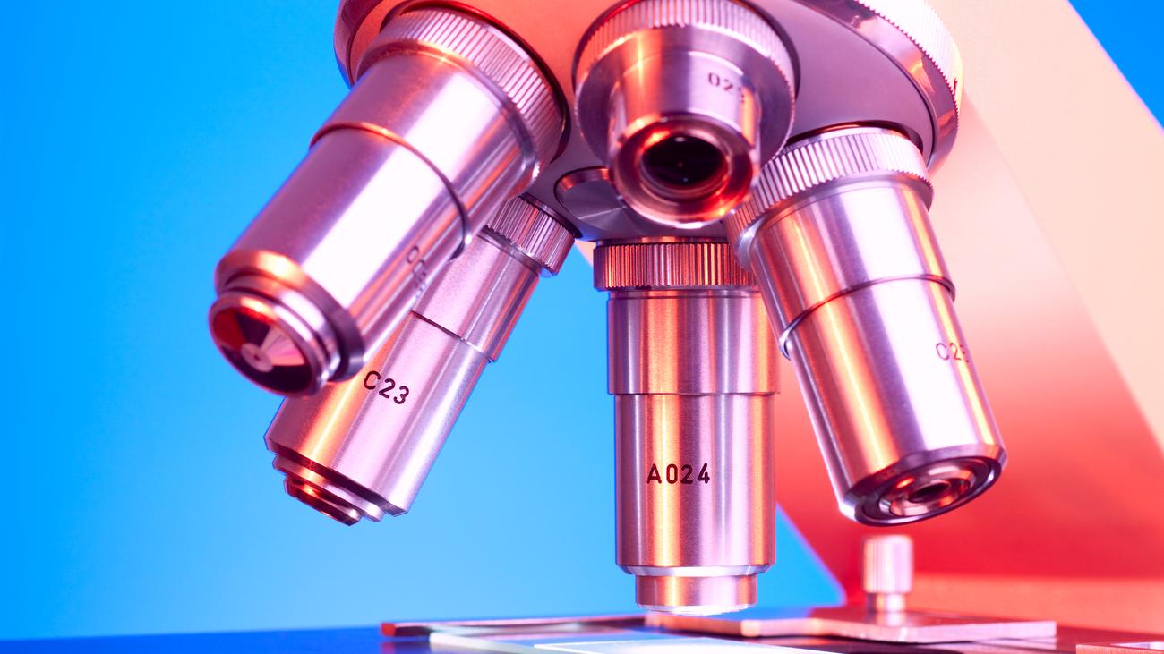Geflüchtete Wissenschaftler: Helft denen, die Schutz suchen! | DIE ZEIT