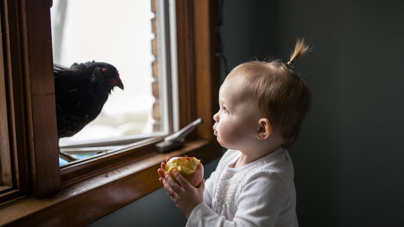 Vegane Ernährung: Von wegen mangelernährt | DIE ZEIT