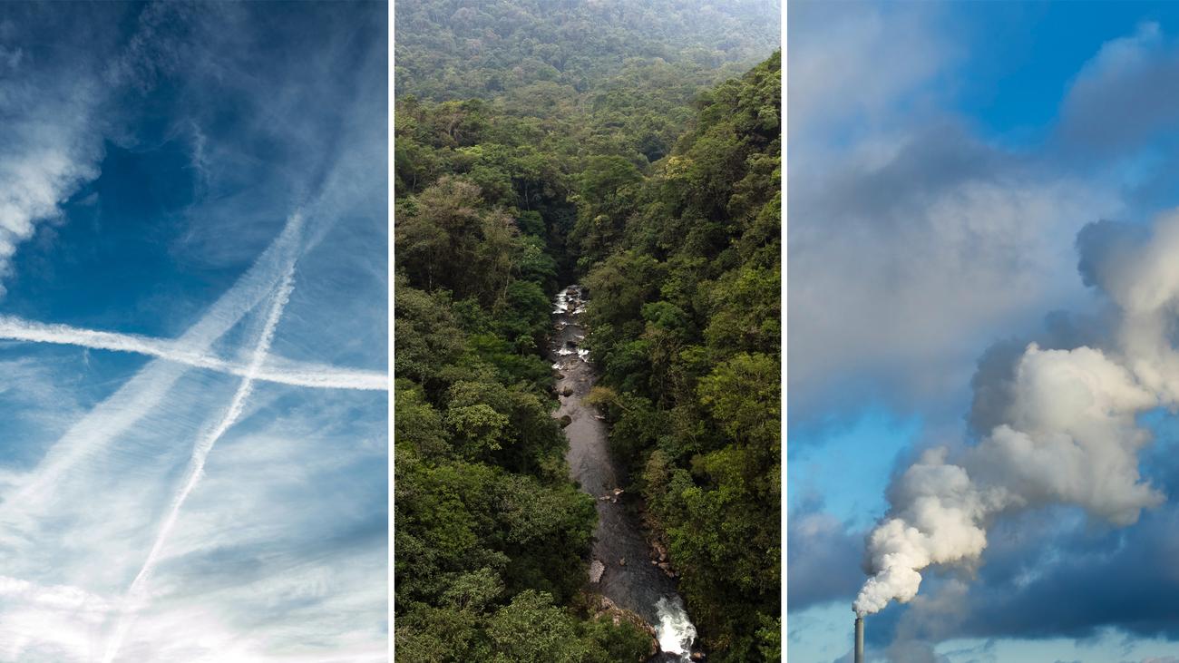 CO2 Certificates: Phantom Offsets and Carbon Deceit | DIE ZEIT