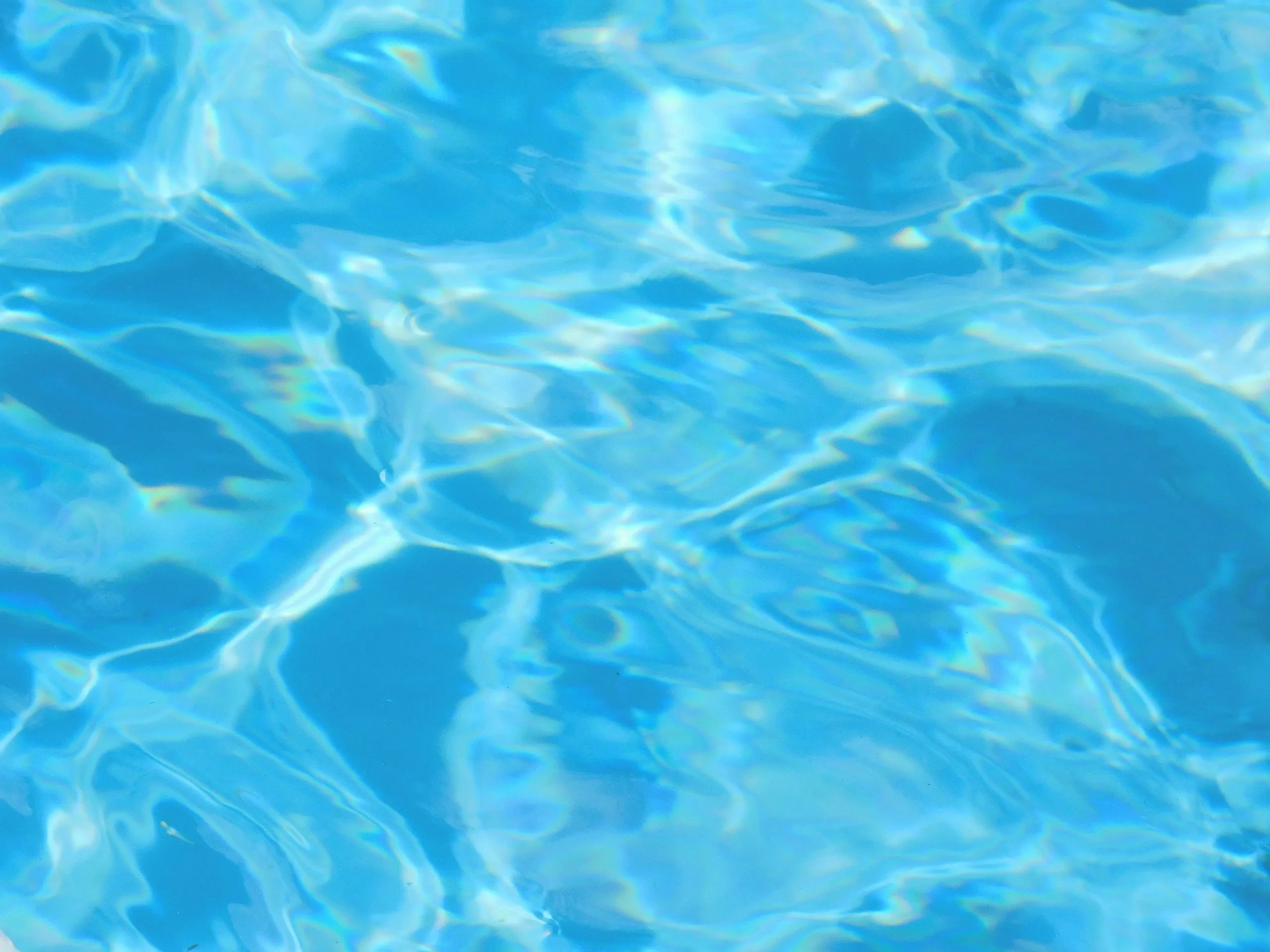 Shop | USA Diving Webstore