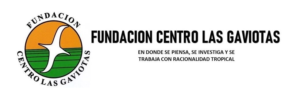 Bomba de Balancín Gaviota | Centro Las Gaviotas