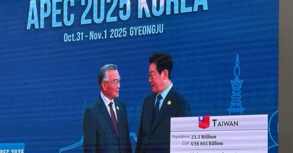 APEC峰會登場　林信義進場大會轉播畫面秀中華民國國旗 | 政治 | 中央社 CNA