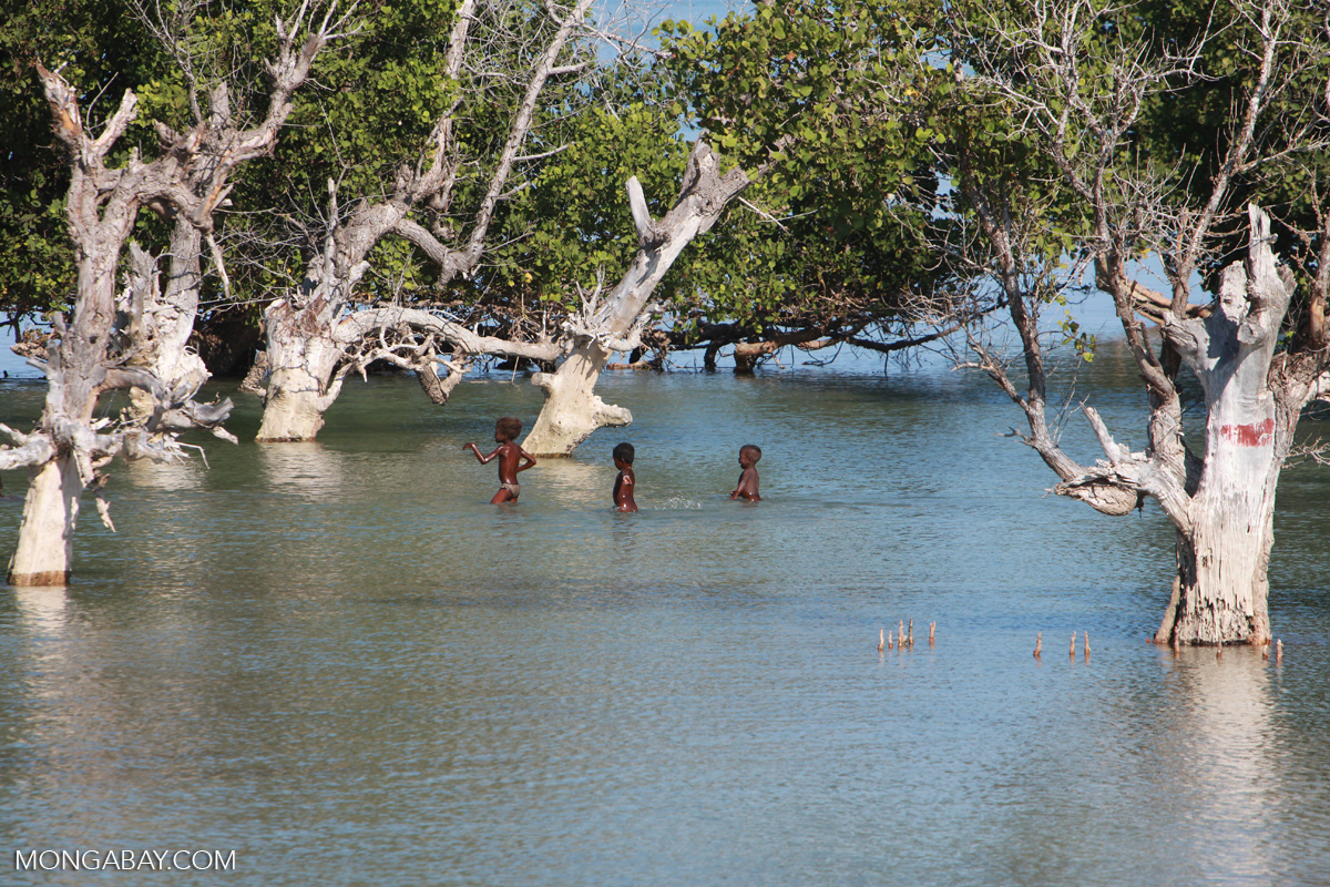 Even as the government bets big on carbon, REDD+ flounders in Madagascar