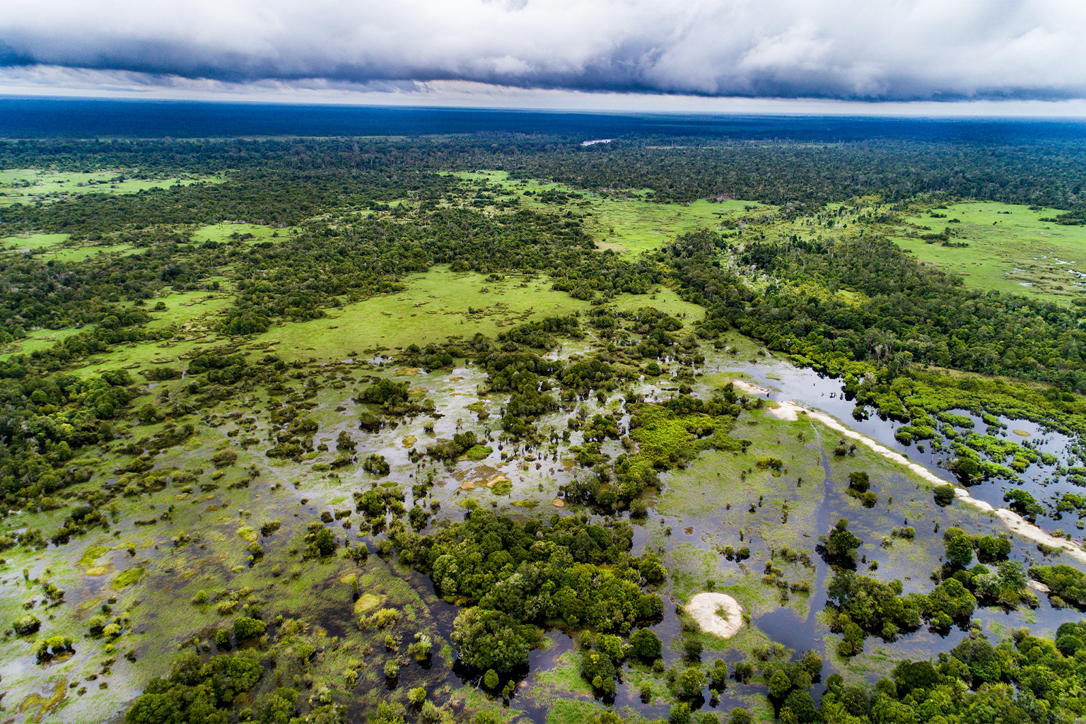 Protecting peatlands and mangroves could halve Southeast Asia’s land-use emissions