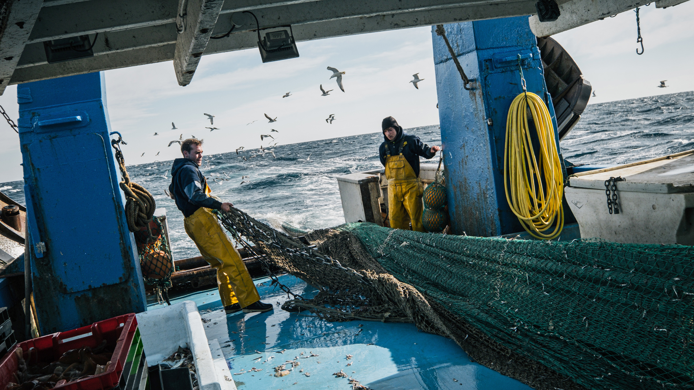 Can aquaculture solve the Mediterranean’s overfishing problem?