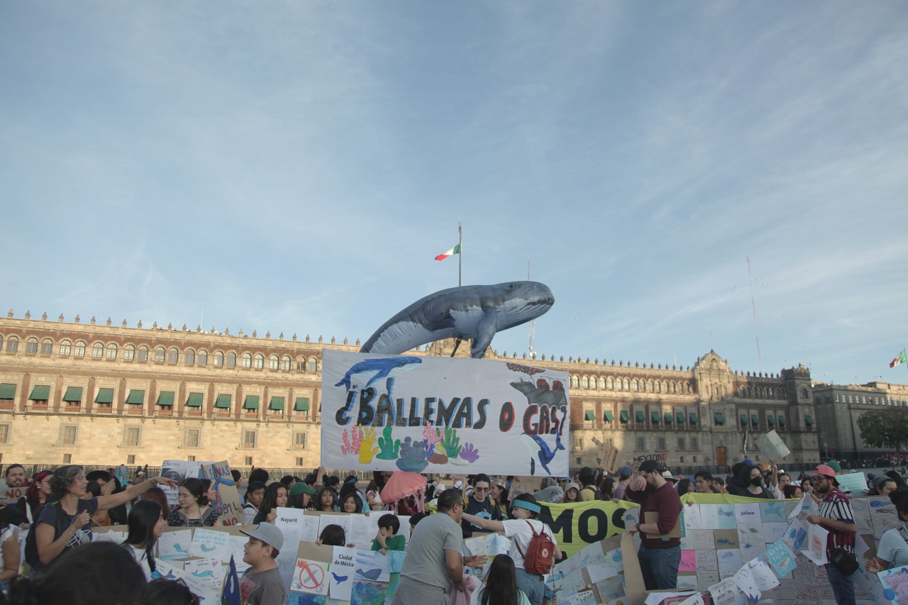 Sheinbaum’s energy agenda under fire as Mexican activists slam LNG megaproject