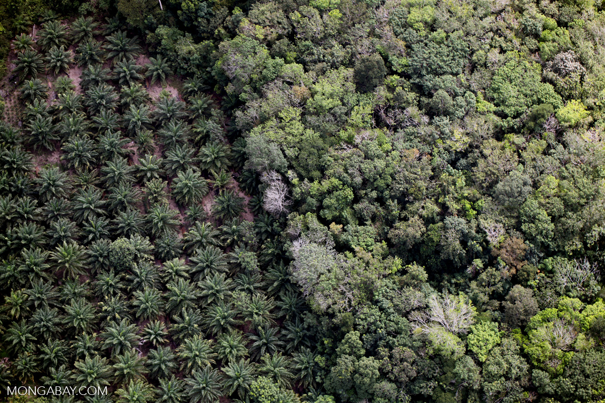 Study offers new tool to compare environmental impacts of crops