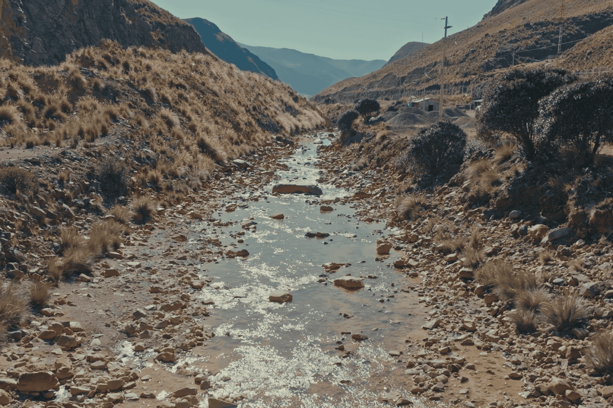 Esperanza en tiempo de crisis climática: cuatro iniciativas que luchan contra la inminente escasez de agua dulce