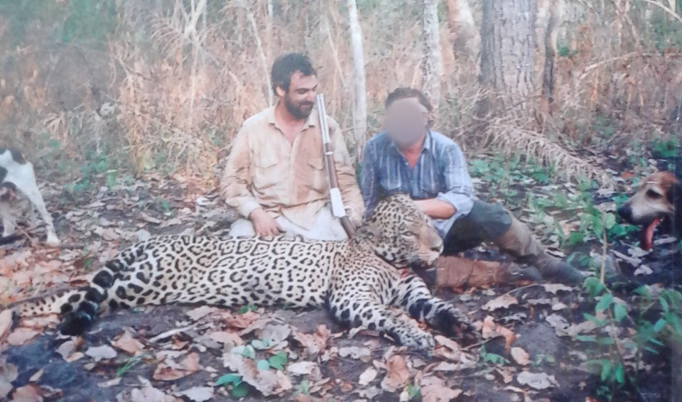 Justicia de Bolivia cierra caso Caza & Safari: no investigará más a empresa argentina que promovía la caza de jaguares