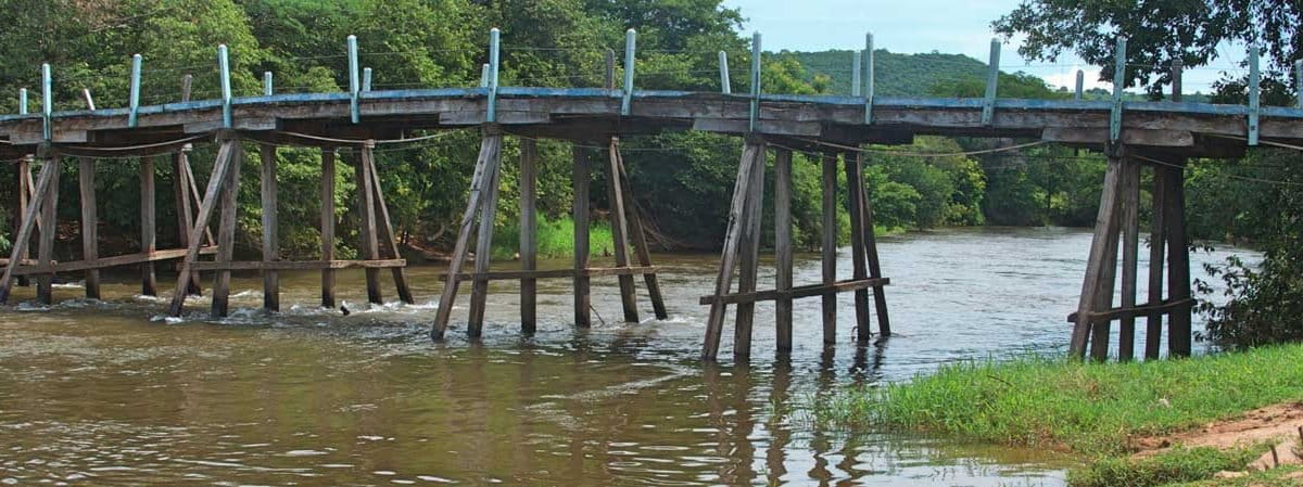 Cerrado: ameaças e conservação