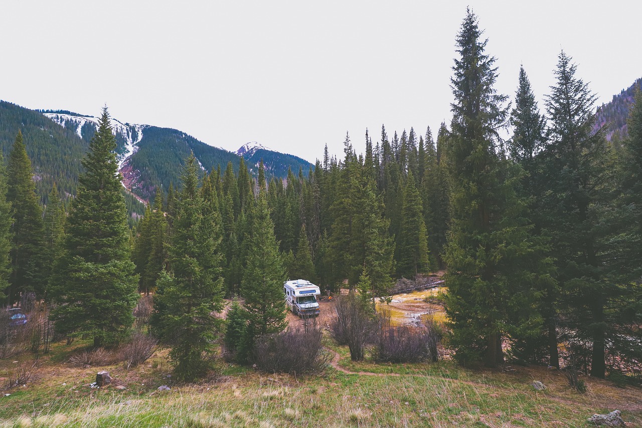 Die schönsten Reiseziele für einen Roadtrip - rein ins Auto und ab in den Urlaub | immerinformiert.de