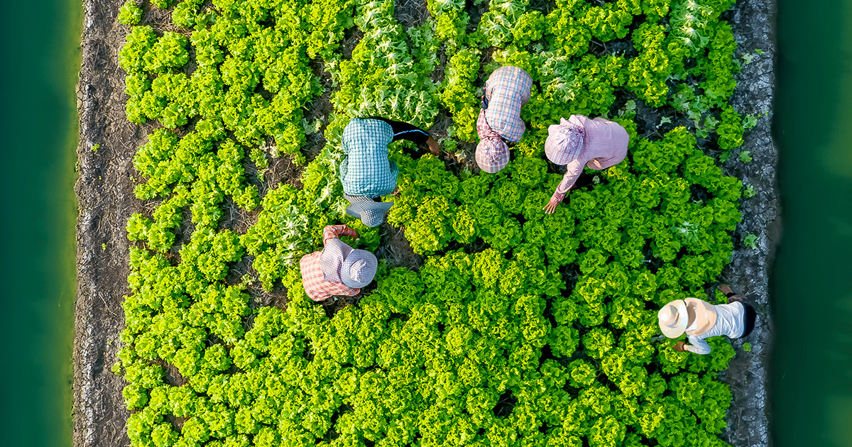 Global Food Security Index (GFSI)