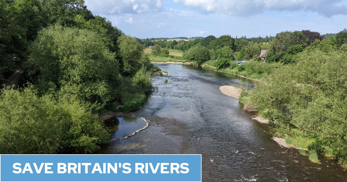 The sewage problem in Britain's rivers explained, and its impact on the environment