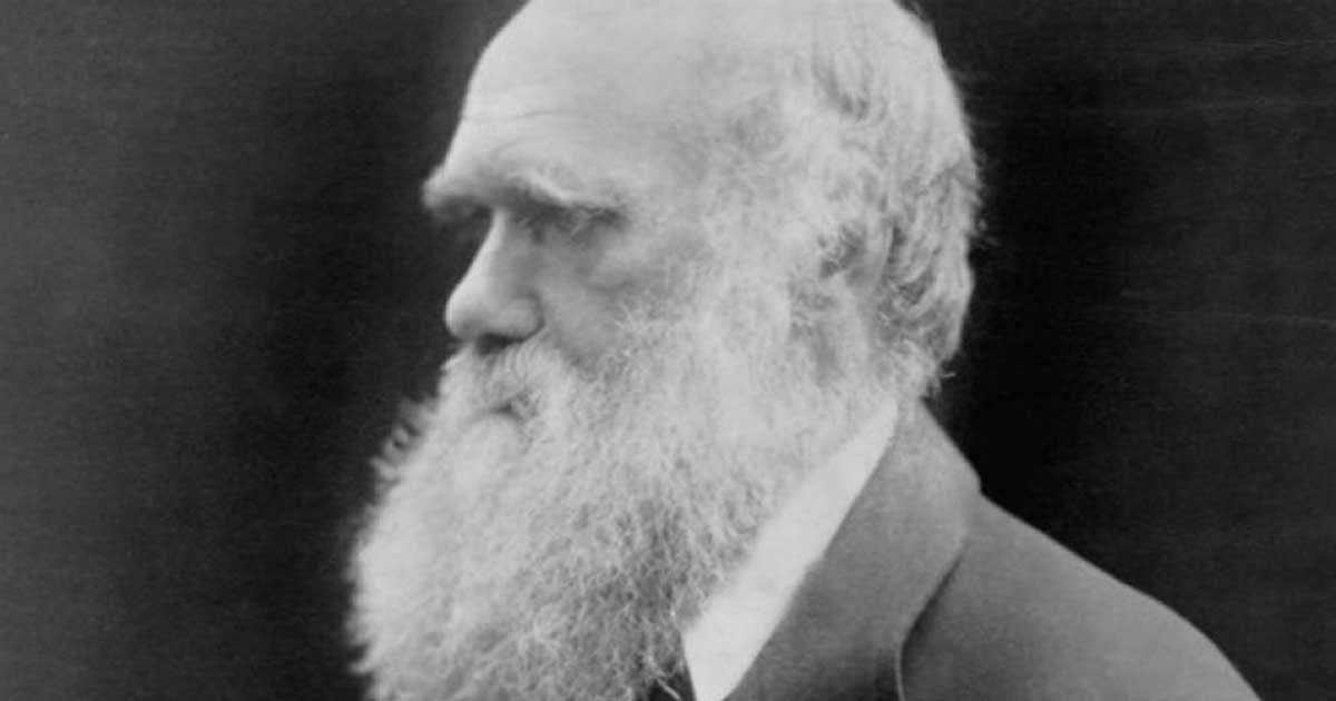 Evolution: A Theory in Crisis Revisited (Part One of Three) | Michael Denton | Inference