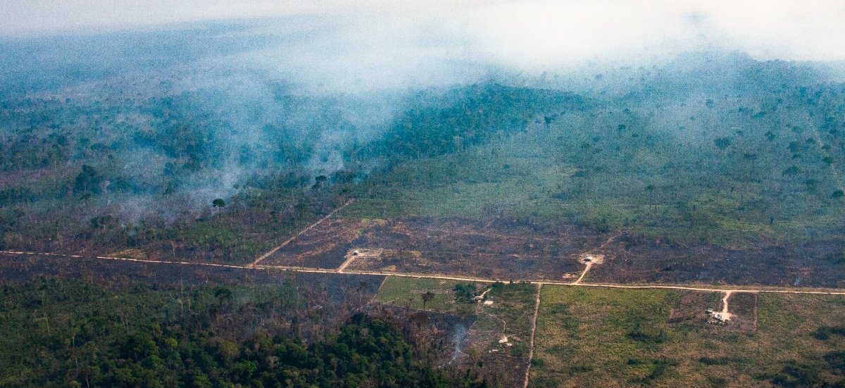 Maior desmatamento da Amazônia ocorreu em fazendas registradas para fornecedor da JBS e Marfrig - InfoAmazonia