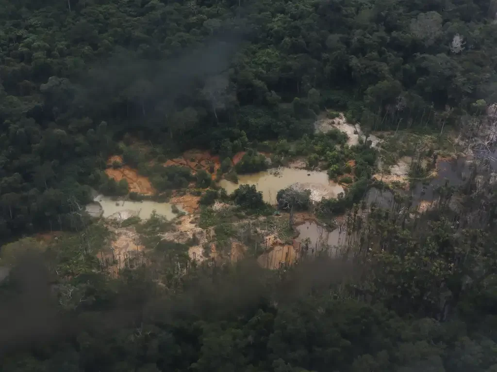 Corpos Yanomami aguardam identificação há mais de 1 ano no IML de Roraima