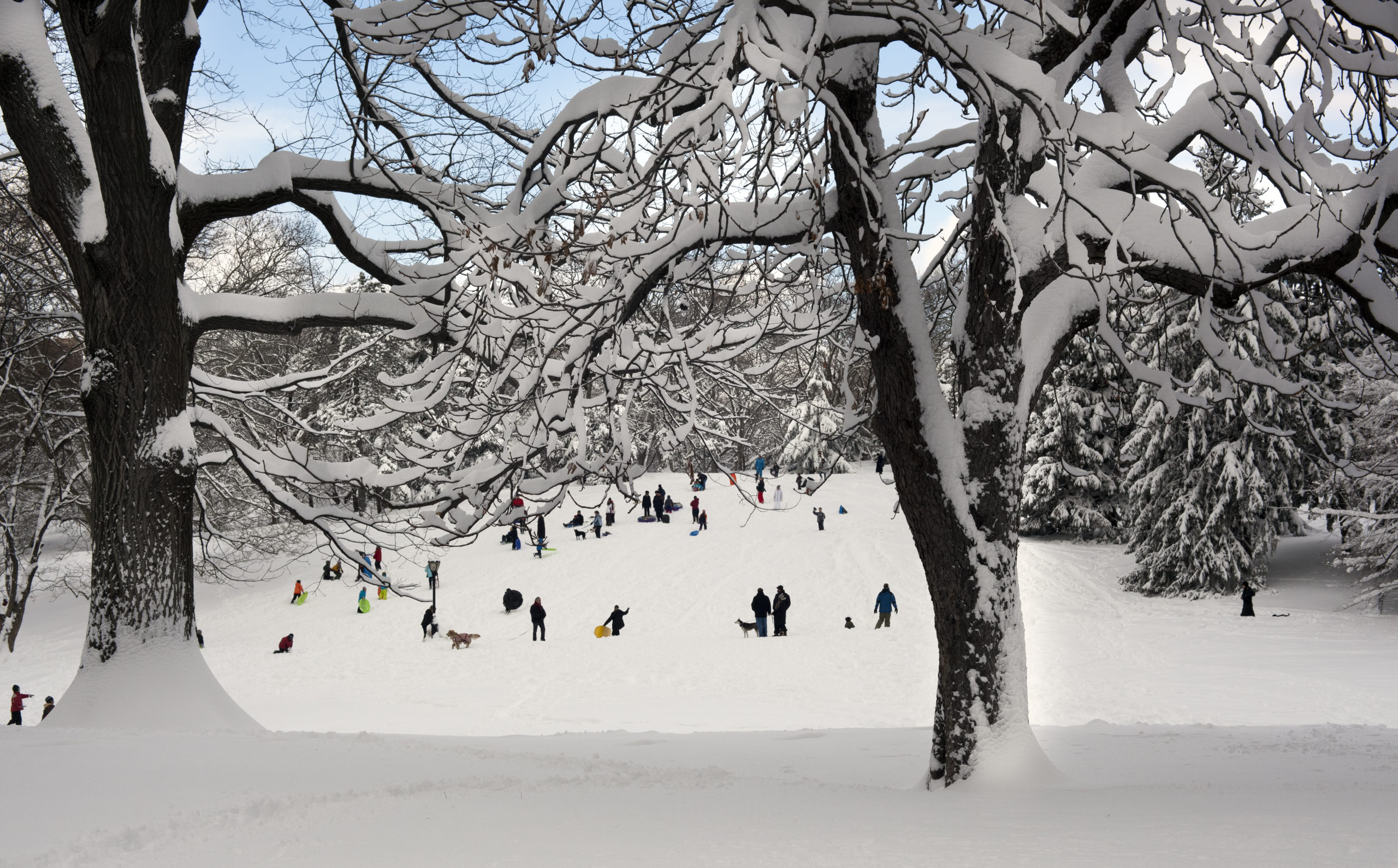 New York City's Best Sledding Hills | Inhabit | A Blog from Corcoran