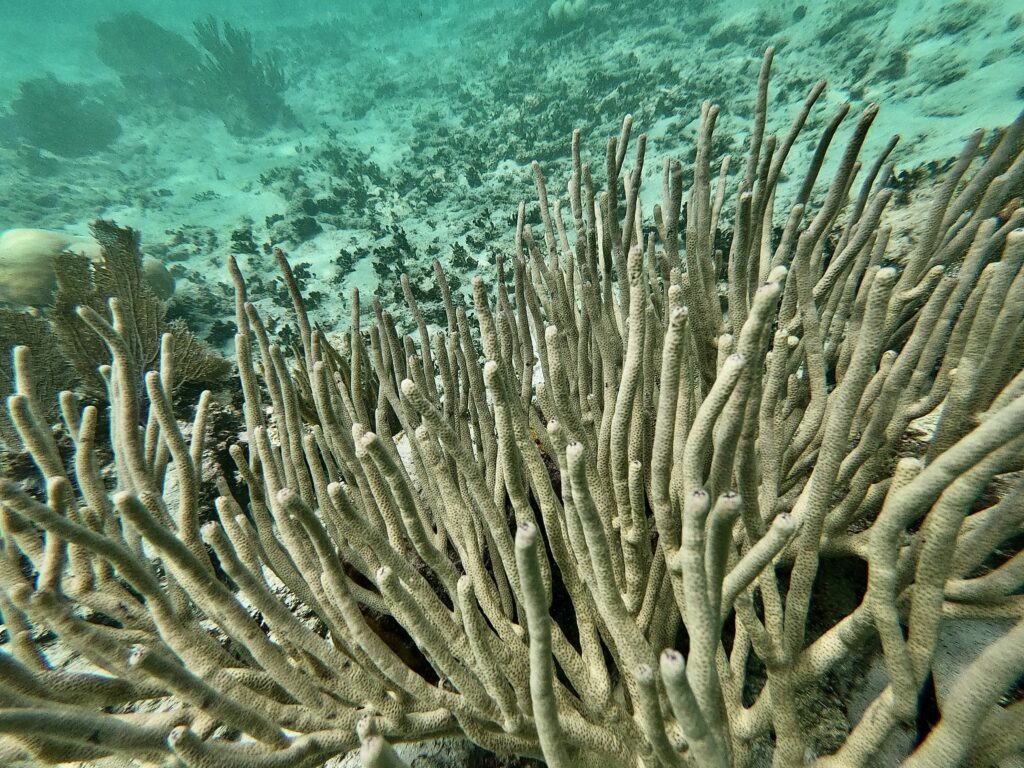 Scientists Push for More Ambitious Climate Targets - Inside Climate News