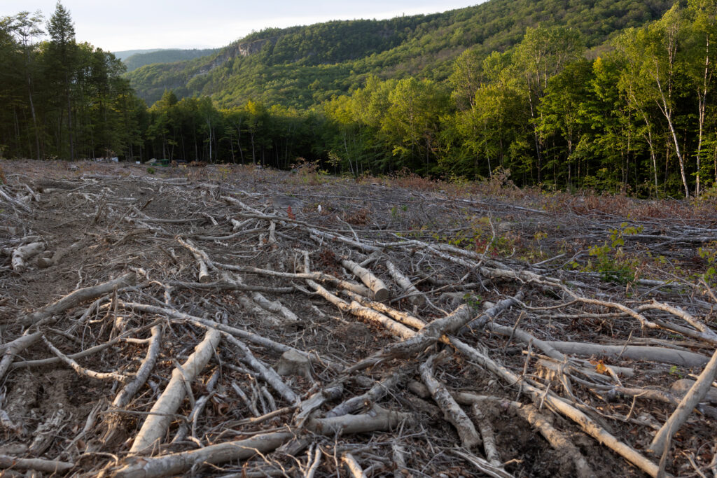 Decades-Old Rule that Allowed Logging on Vast Swaths of US Land Ruled Unlawful by Oregon Court - Inside Climate News