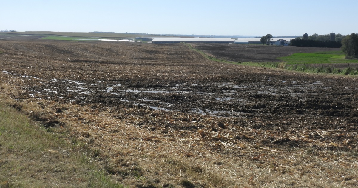 Stretched Thin, Iowa Agency Issues Few Fines for Manure Pollution - Inside Climate News