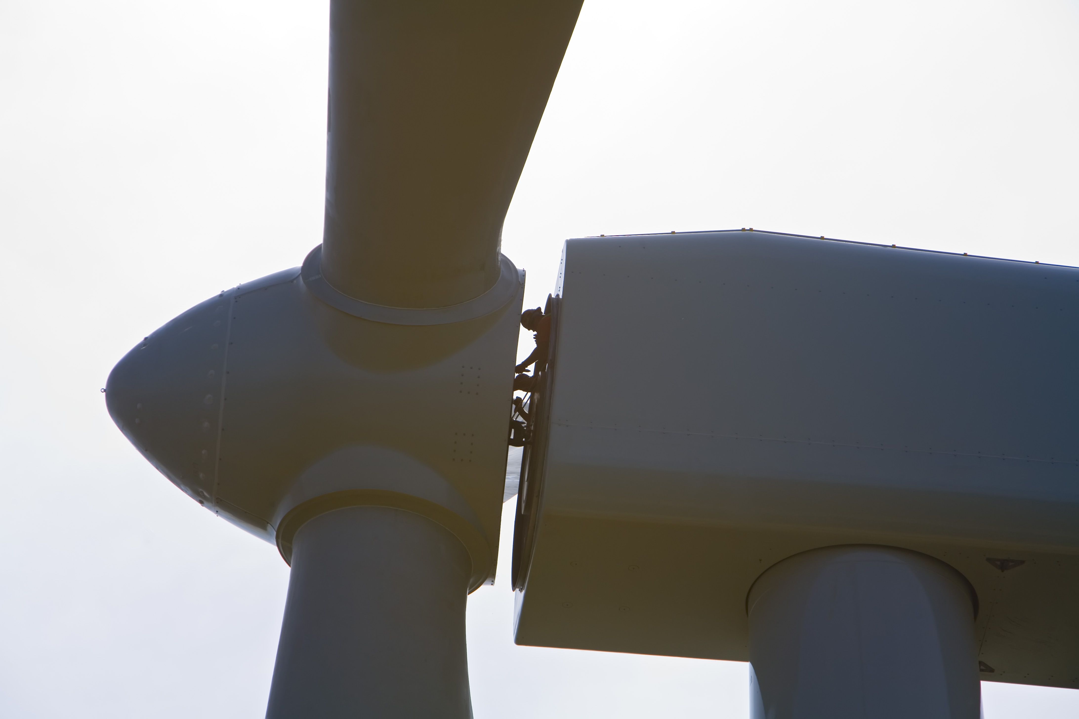 Federal Court Allows Dominion Energy in Virginia to Continue Offshore Wind Project - Inside Climate News