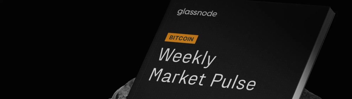 BTC Market Pulse: Week 5